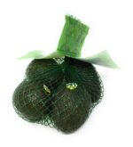 Avocado (Each)